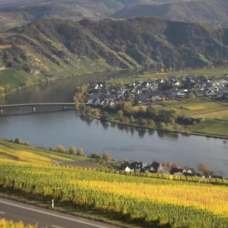 Mit Herrlichem Moselblick Piesport